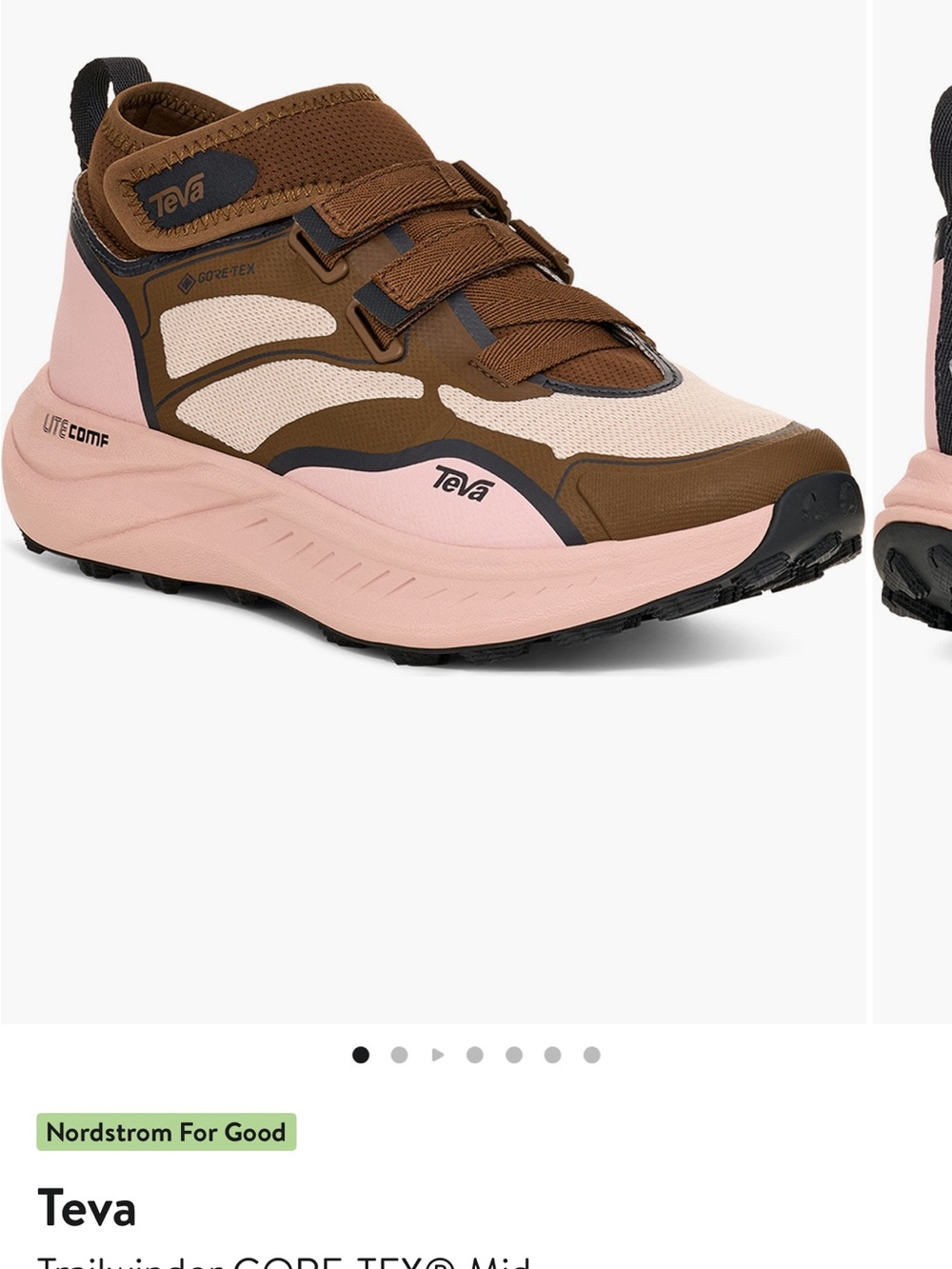 Teva Trailwinder GORE-TEX Mid Hiking Shoe in Brown & Pink